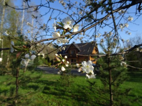 Willa Potoczówka, Rzyki